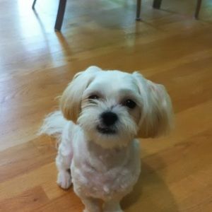 Meet your Posher, Sisi